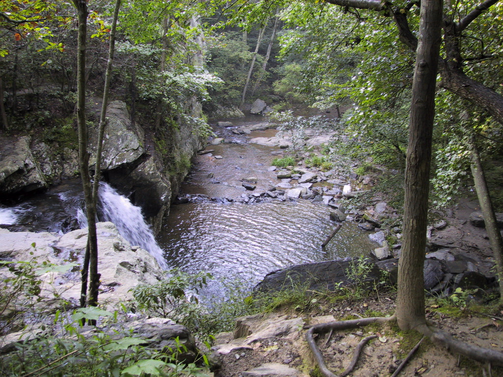 Flowing water in stream in woods